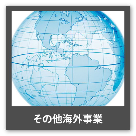 その他海外事業